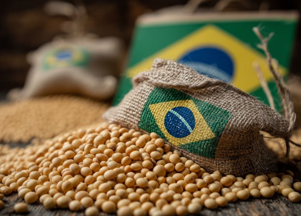 Dans l’UE, les importations de soja restent massives : près de 20 millions de tonnes de tourteau de soja importées en 2024-2025, dont plus de la moitié proviennent du Brésil.