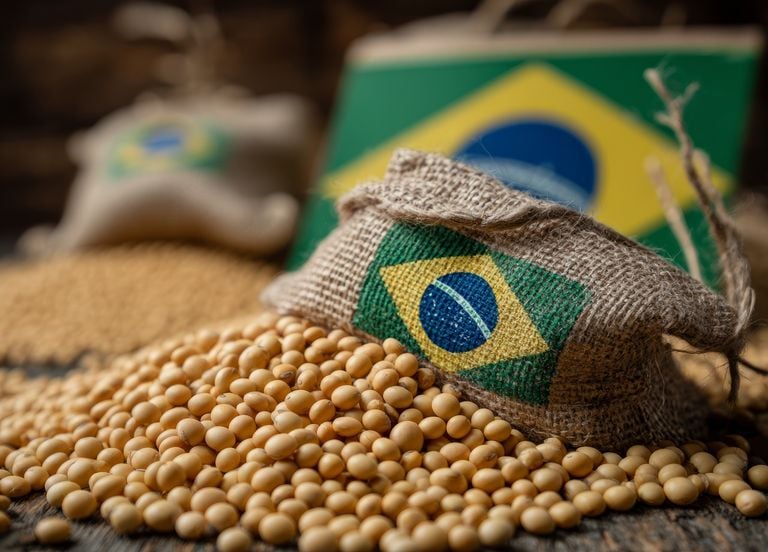 Accord UE-Mercosur : l'Europe peut-elle se dire "verte" tout en important du soja issu de la d&eacute;forestation ?