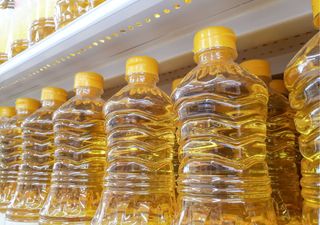 Aceite de soya bajo la lupa: claves para detectar un aceite de calidad