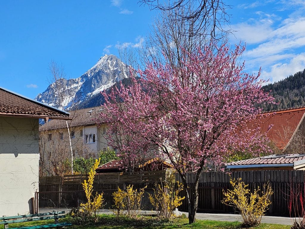 Frühling Der Frühling ist jetzt auch in den Alpentälern angekommen (Foto Markus Köss, Mittenwald/Bayern)