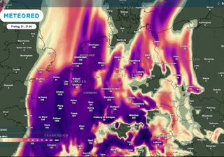 Expertin Kathy Schrey gibt Alarm - Achtung Deutschland: Der Heuschnupfen-Horror geht wieder los