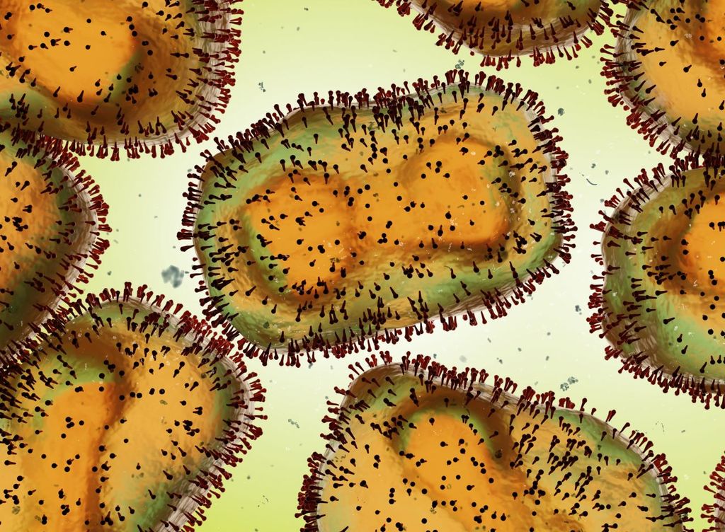 Al parecer esta nueva cepa del virus provoca enfermedad más grave y contagia a más personas Al parecer esta nueva cepa del virus provoca enfermedad más grave y contagia a más personas