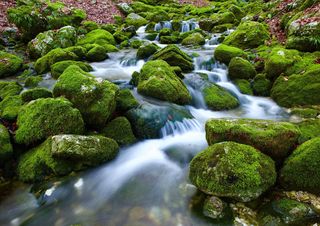 Acqua, come è distribuita sulla Terra?