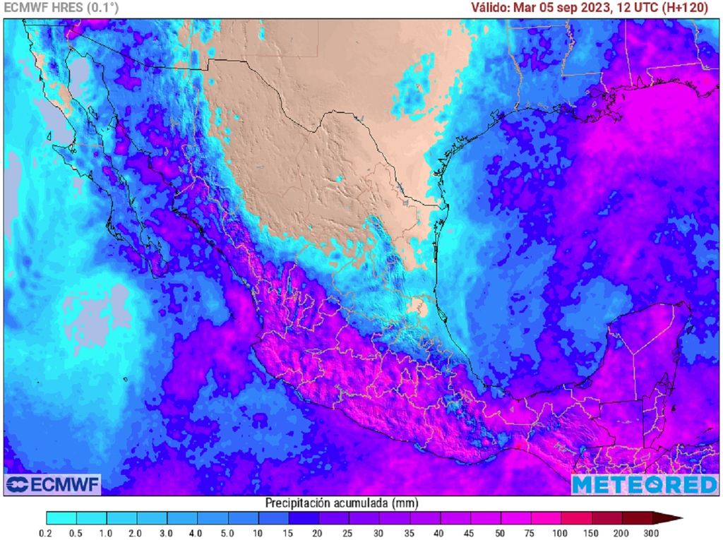Modelo ECMWF - Acumulado de lluvias en milímetros