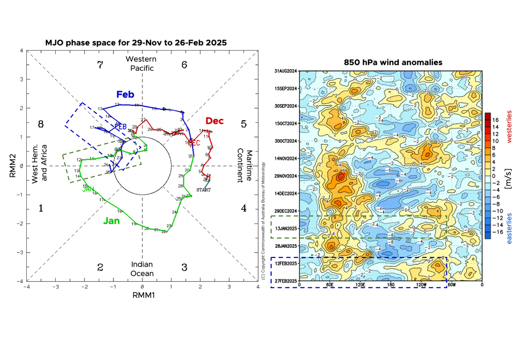 MJO evolution