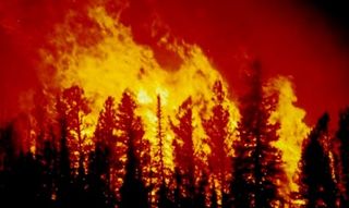 Actividad humana y eventos climáticos extremos