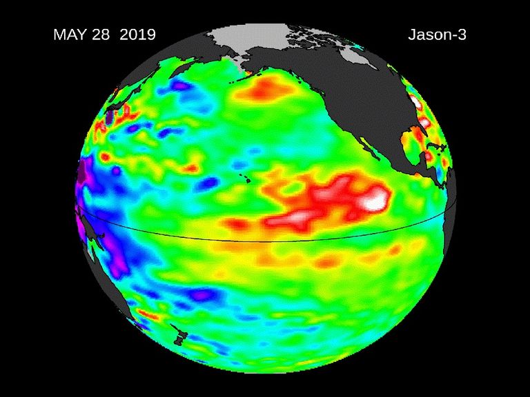 El Niño persiste sobre el Pacífico Central El Niño persiste sobre el Pacífico Central
