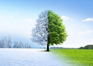 Actualización del pronóstico mensual de febrero: ¿Será un mes extremoso con fuertes lluvias, oleadas polares y de calor?