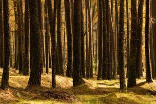Ad aprile questa valle si trasforma in un dipinto: tra cascate, boschi e sentieri fioriti