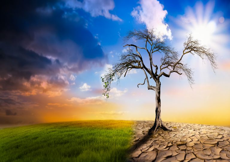 Adaptação e resiliência à Mudança Climática Adaptação e resiliência à Mudança Climática