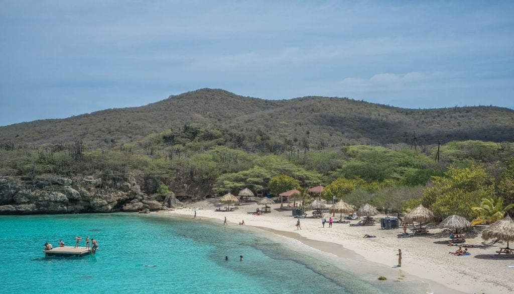 Grote Knip Grote Knip