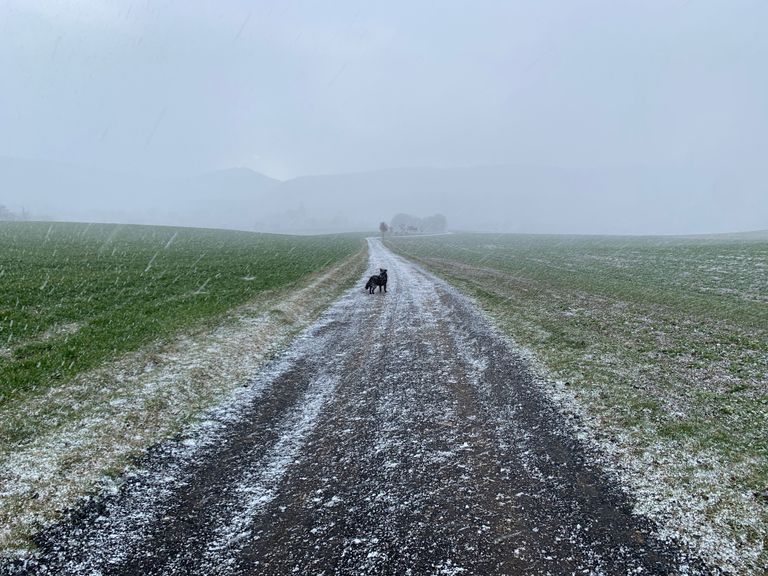 La borrasca Isaack traerá tormentas que intensificarán la lluvia y nieve La borrasca Isaack traerá tormentas que intensificarán la lluvia y nieve