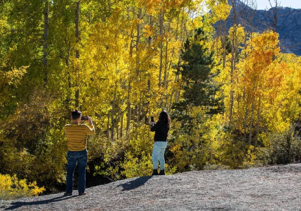 Eastern Sierra Scenic Byway