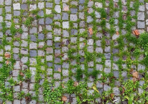 Adi&oacute;s a la hierba entre tus piedras: gu&iacute;a completa para eliminar la hierba entre las juntas del patio