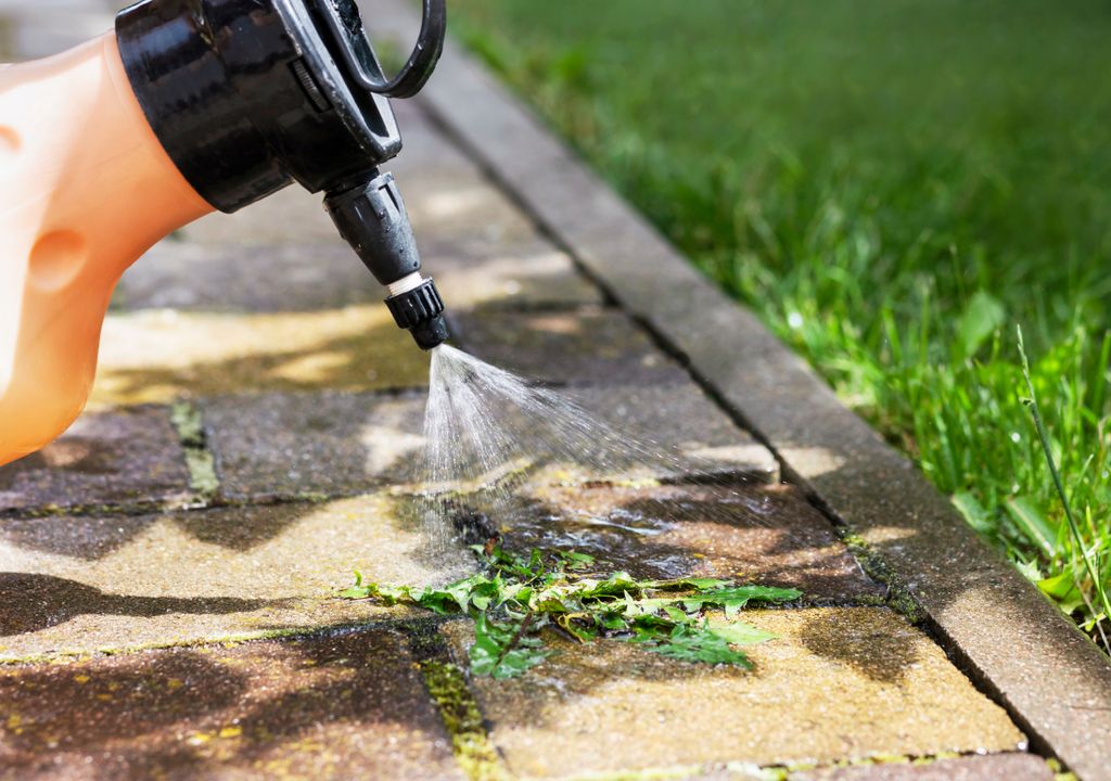 La aplicación de vinagre diluido en agua puede frenar el desarrollo de las malas hierbas del jardín.