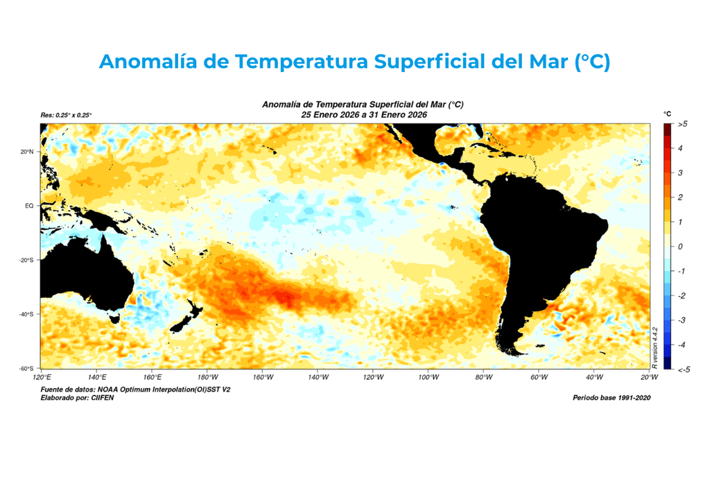 En enero, las anomalías frías del Pacífico Central y Oriental se debilitaron hacia valores normales, con aguas más cálidas frente a Chile y focos fríos persistentes al sur de Ecuador. Crédito: NOAA OISST v2, CIIFEN.