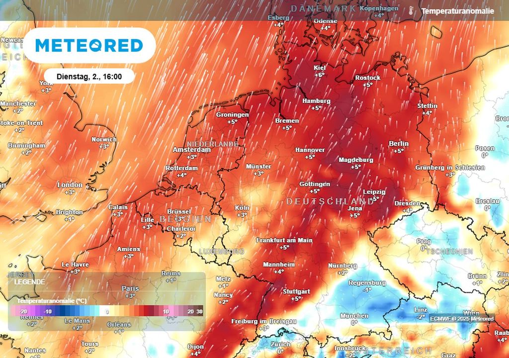 mild, dezember, wetter mild, dezember, wetter