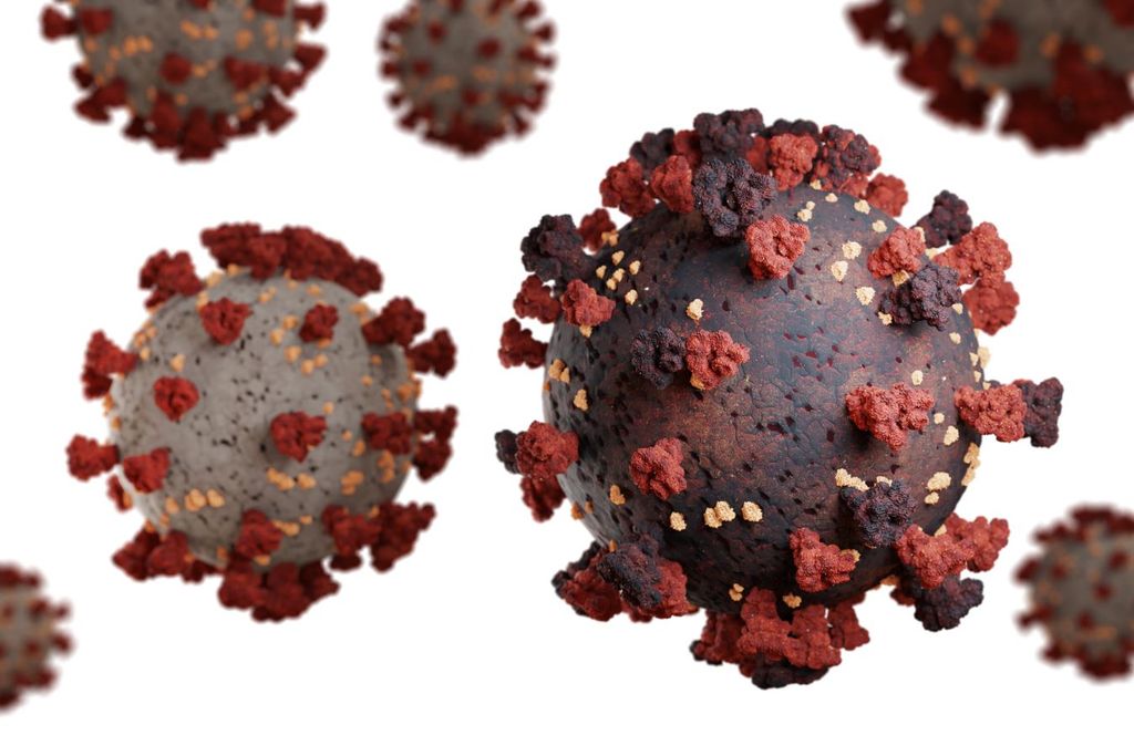 A SARS-Cov2 continua a evoluir e a OMS adverte que a pandemia ainda não terminou