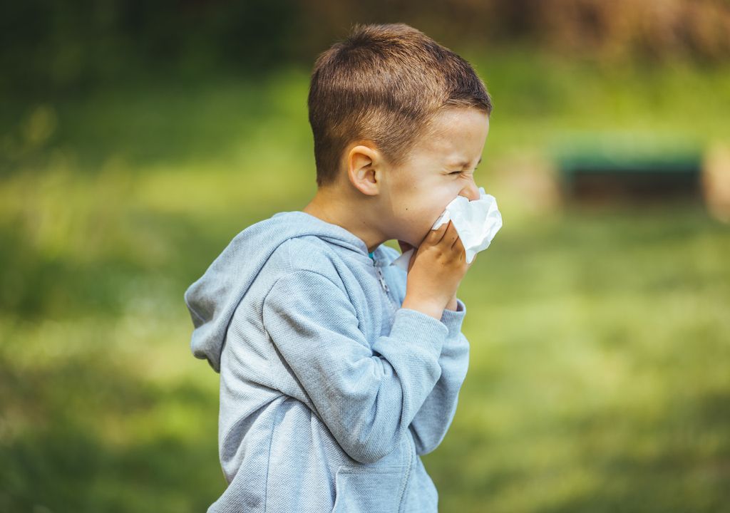 Niño alergias polen Niño alergias polen