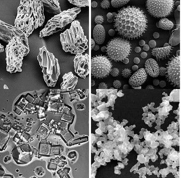 Aersole Vulkanasche Pollen Seasalz Ruß Aersole Vulkanasche Pollen Seasalz Ruß