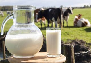 Afinal, o leite é inflamatório? Veja o que dizem os especialistas