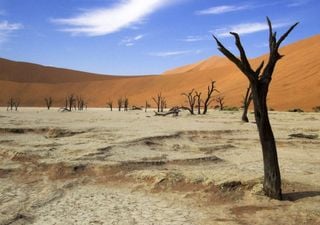 África é o continente mais afetado pelas mudanças climáticas