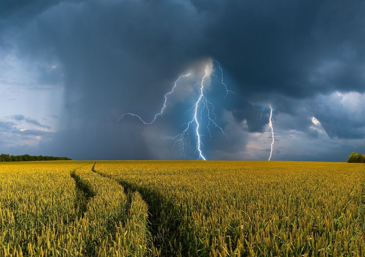 Descarga eléctrica en un campo.