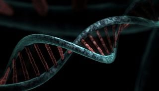 Nach dem Untergang Roms: Die DNA enth&uuml;llt die wahre Geschichte der fr&uuml;hmittelalterlichen Anf&auml;nge Europas