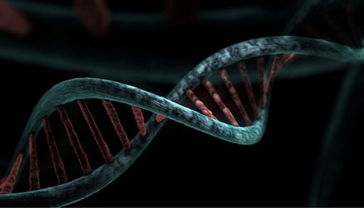 Nach dem Untergang Roms: Die DNA enth&uuml;llt die wahre Geschichte der fr&uuml;hmittelalterlichen Anf&auml;nge Europas