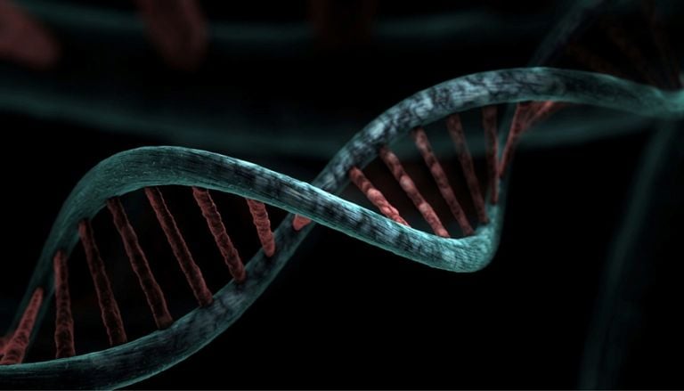 Nach dem Untergang Roms: Die DNA enth&uuml;llt die wahre Geschichte der fr&uuml;hmittelalterlichen Anf&auml;nge Europas