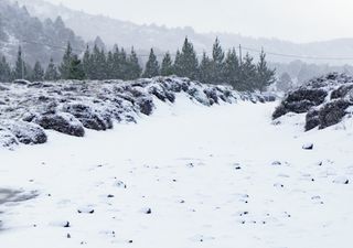 Temporales de viento, lluvia y nieve: más un sistema frontal llega a Chile