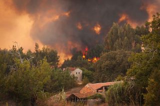 Agosto com quase tanta área ardida como em todo o resto do ano em Portugal, ainda assim com boas notícias