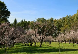 Agosto con lluvias históricas y la proyección de lo que se espera para septiembre en Argentina