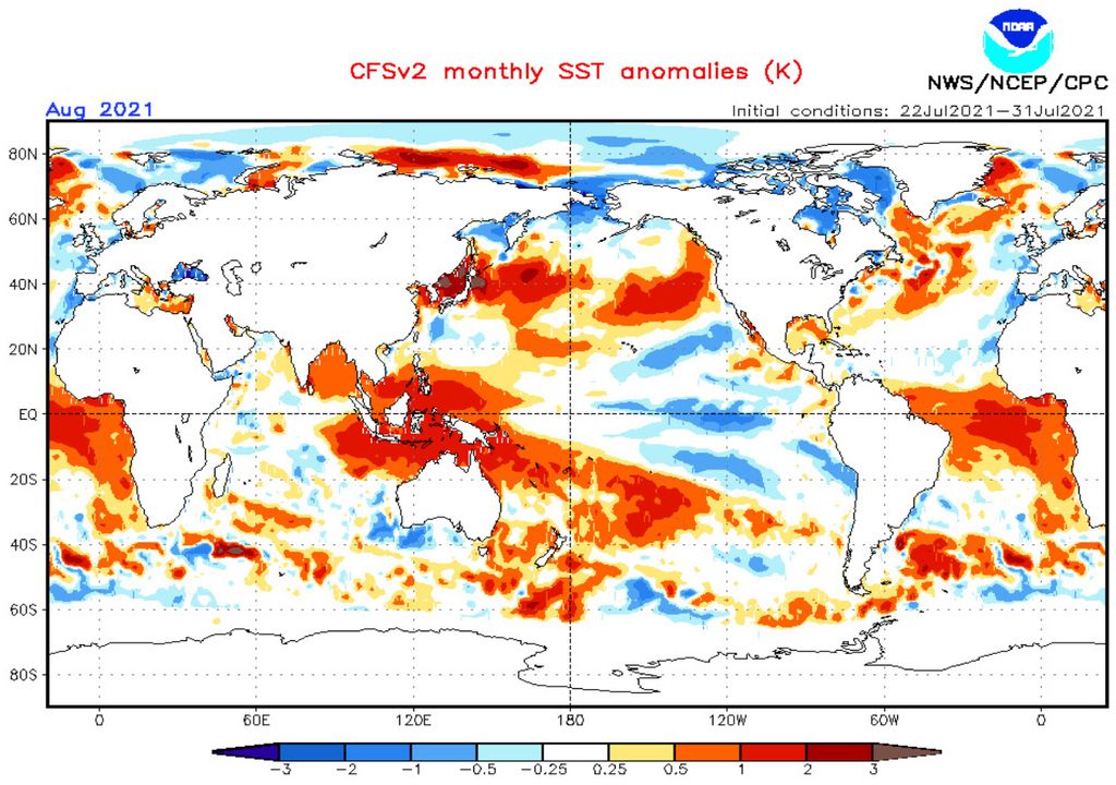 SST anomaly SST anomaly