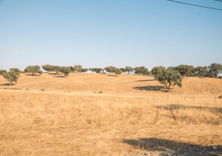 Agosto de 2021 foi um mês quente e seco em Portugal continental