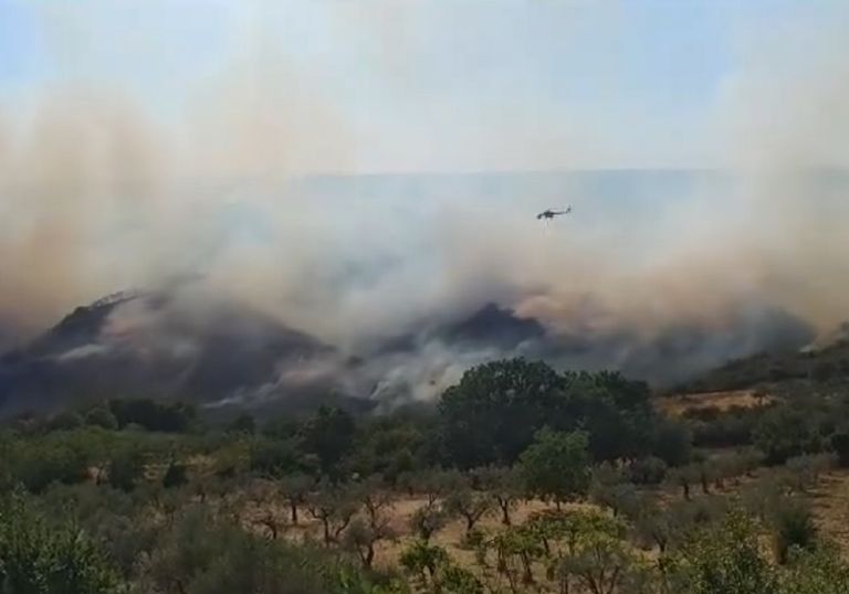 Vasti incendi in Italia dal Carso all'Umbria, fino alla Puglia: i video Vasti incendi in Italia dal Carso all'Umbria, fino alla Puglia: i video