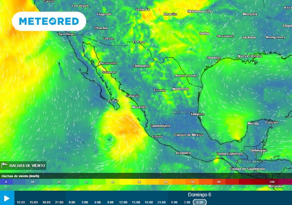 Modelo ECMWF - Ráfagas de viento en km/h