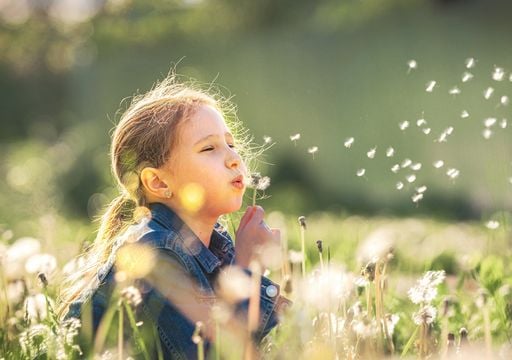 Agosto se despide con un fin de semana para disfrutar en AMBA: &iquest;cu&aacute;ndo volver&iacute;an las m&iacute;nimas de menos de 5 &deg;C?