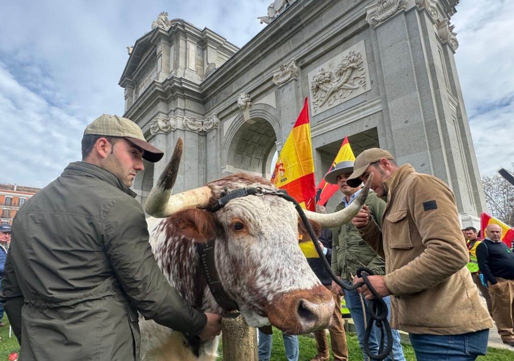 protesta protesta