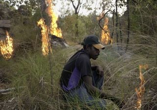 Agricultura de tala y quema: una práctica ancestral con mala fama