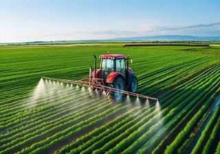 Radiografia à agricultura em Portugal. Há menos explorações agrícolas, mas maiores e a produtividade sobe 14,7% este ano