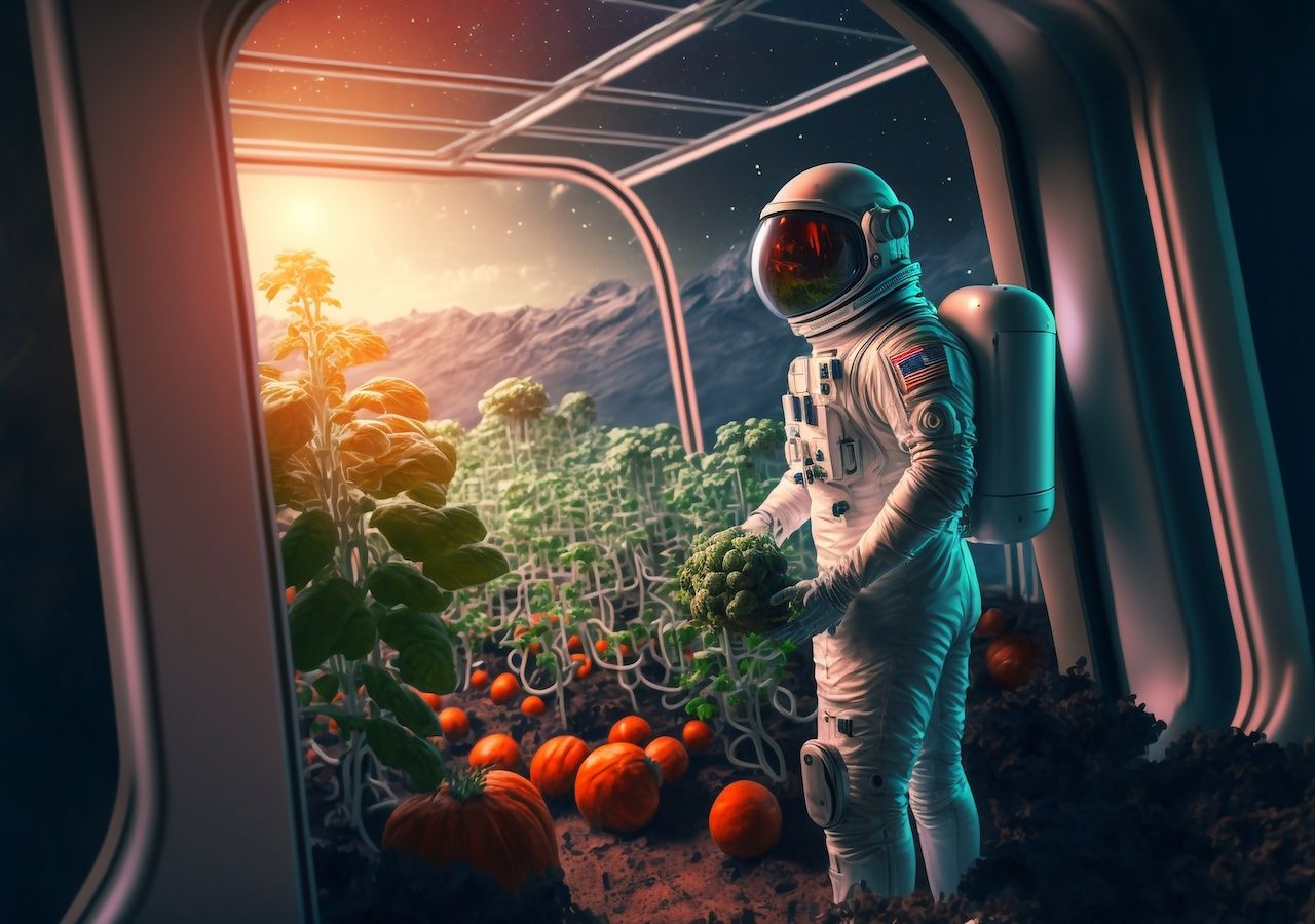 Con el objetivo de optimizar el cultivo de plantas en la Luna, investigadores buscan extraer minerales del regolito lunar.