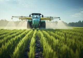 ¿Agricultura envenenada? Este es el papel que juegan los pesticidas en la producción agrícola a nivel mundial