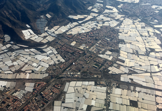 La agricultura intensiva a gran escala es una amenaza para las zonas áridas