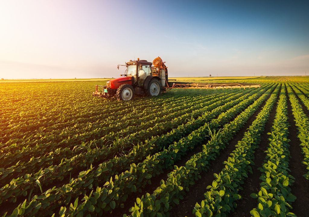 Agricultura regenerativa