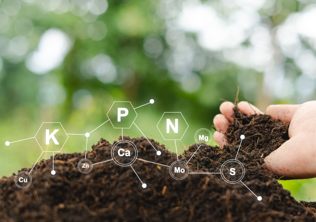Cada práctica que fortalece la capacidad del suelo para retener carbono representa un aporte directo a la mitigación del cambio climático, además de estabilizar el clima en general.