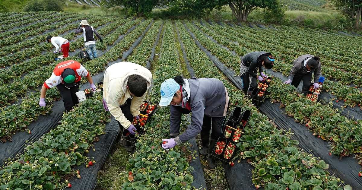 Agricultura Y Cambio Climático