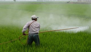 L&rsquo;agriculture reste toujours le secteur le plus touch&eacute; par les pesticides