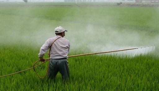 L&rsquo;agriculture reste toujours le secteur le plus touch&eacute; par les pesticides