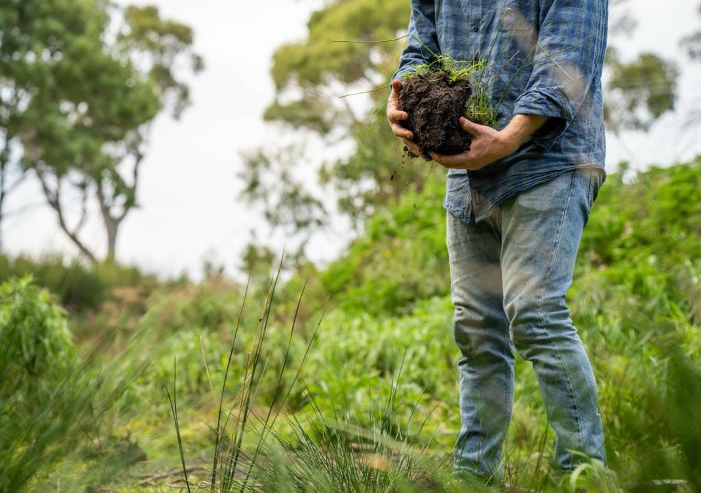 Jovem agricultor Jovem agricultor